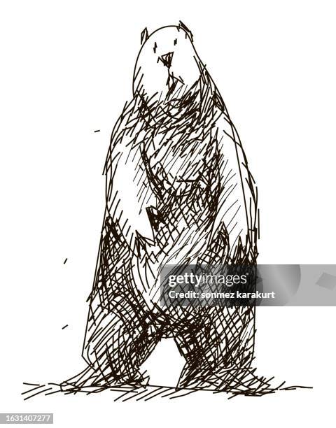 confused cute bear - bear stock illustrations