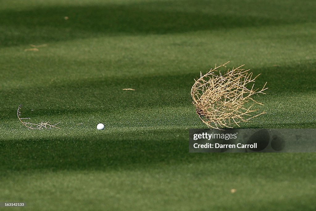 World Golf Championships-Accenture Match Play Championship - Final Round