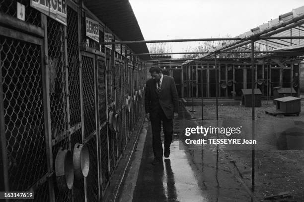 Kennel Of The Animal Protection Company In Normandy. France, Rouen, 4 février 1974, Visite du chenil de la société normande de protection des...