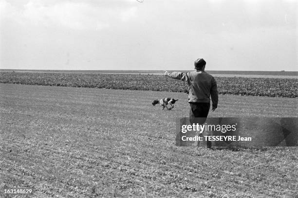 European Championship Of Game Hunter With Hunting Dogs. France, Reims, 30 septembre 1974, Championnat d'Europe des chiens de chasse pour gibier tiré....