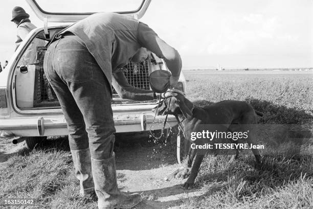 European Championship Of Game Hunter With Hunting Dogs. France, Reims, 30 septembre 1974, Championnat d'Europe des chiens de chasse pour gibier tiré....