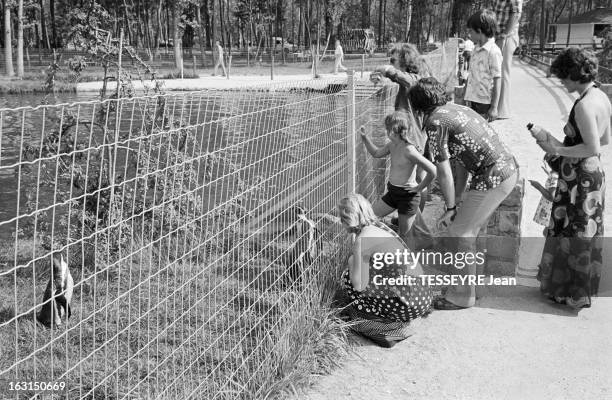 The Wildlife Park Of Saint-Vrain. En France, à Saint-Vrain dans l'Essone, le 4 août 1975. Reportage dans le zoo de Saint-Vrain riche d'un millier...