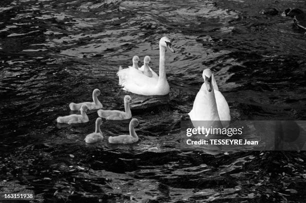 Charles Rines Wycoff Photos and Premium High Res Pictures - Getty Images