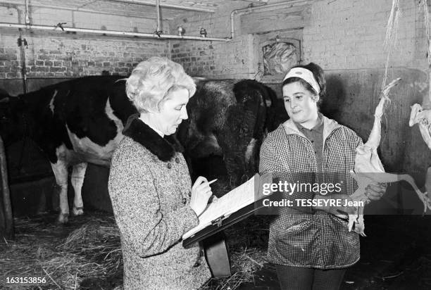 The People Of North Probed By Ifop For The Presidential Elections. France- 9 decembre 1965- Sondage de la population du Nord par l'IFOP pour les...