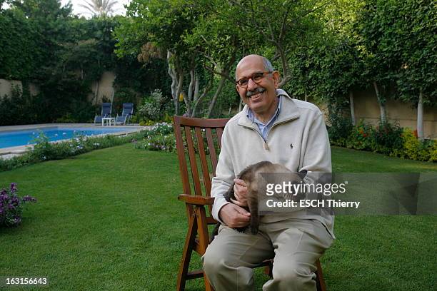 Rendezvous With Mohamed Elbaradei. Le prix Nobel de la paix 2005, Mohamed EL BARADEI posant avec son chat dans la jardin de sa maison du Caire. Avril...