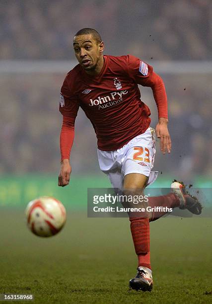 Dexter Blackstock of Nottingham Forest chases down the ball during the npower Championship match between Nottingham Forest and Ipswich Town at City...