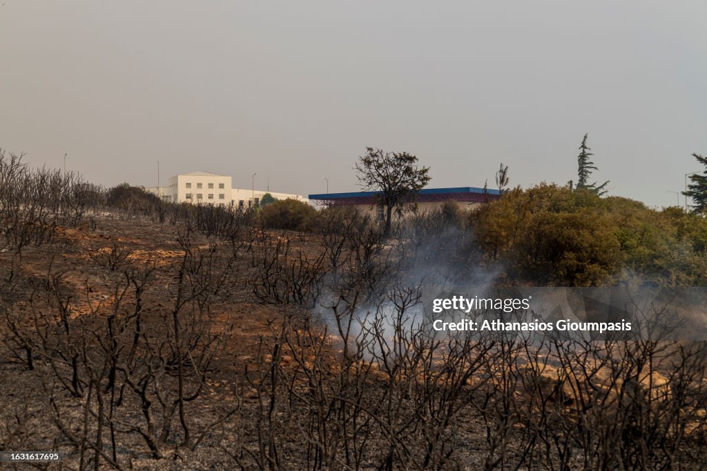 Wild Fires In Northern Greece