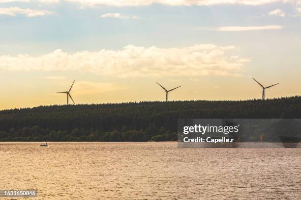 ecologie - éolienne en pleine foret - éolienne ストックフォトと画像