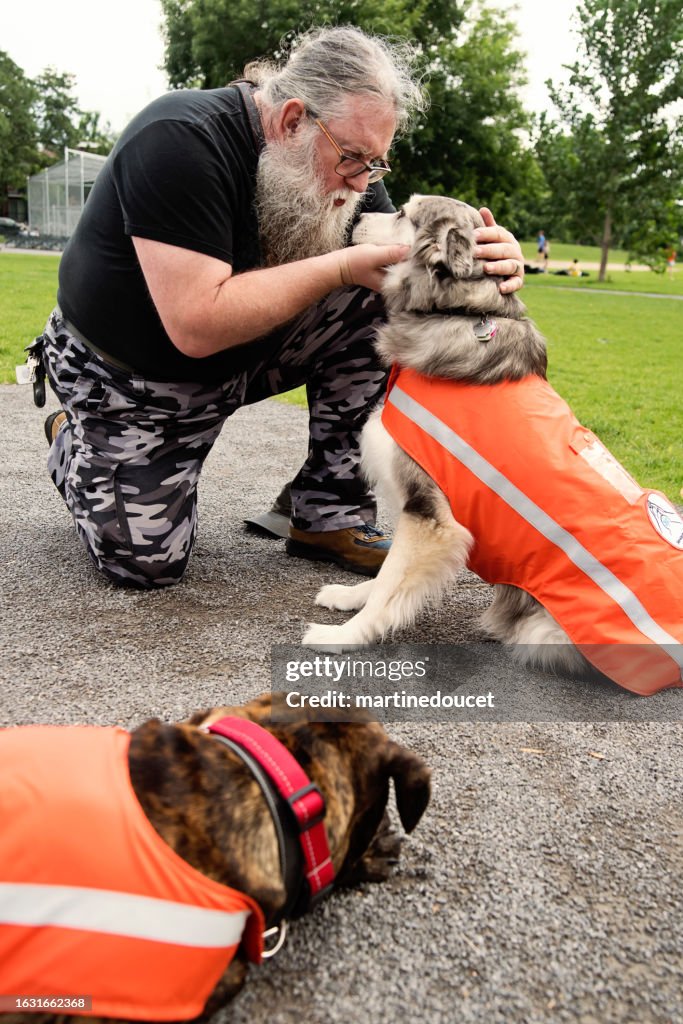 Service Dog Trainer Training: Master Essential Skills