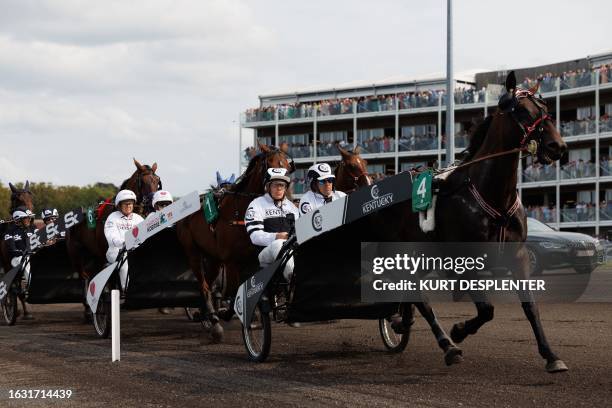 Former cyclist Stig Broeckx pictured during the yearly Waregem Koerse, 'Grote Steeple Chase van Vlaanderen' horse race, at the Gaverbeek Hippodrome...