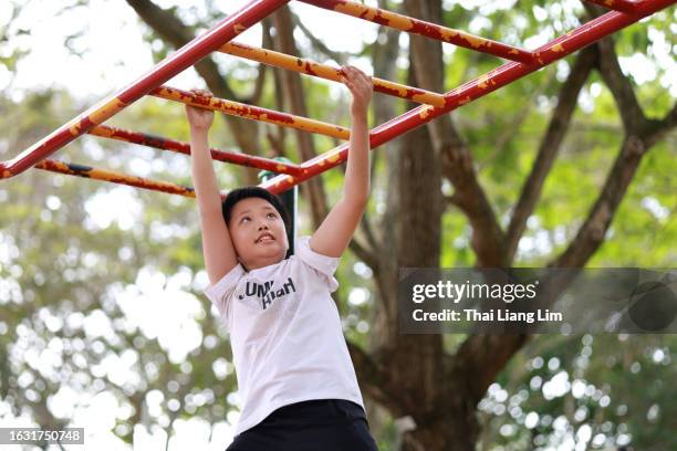 a lively asian boy confidently navigating the monkey bars at a playground, demonstrating his physical agility and adventurous spirit. - boy on monkey bars stock pictures, royalty-free photos & images