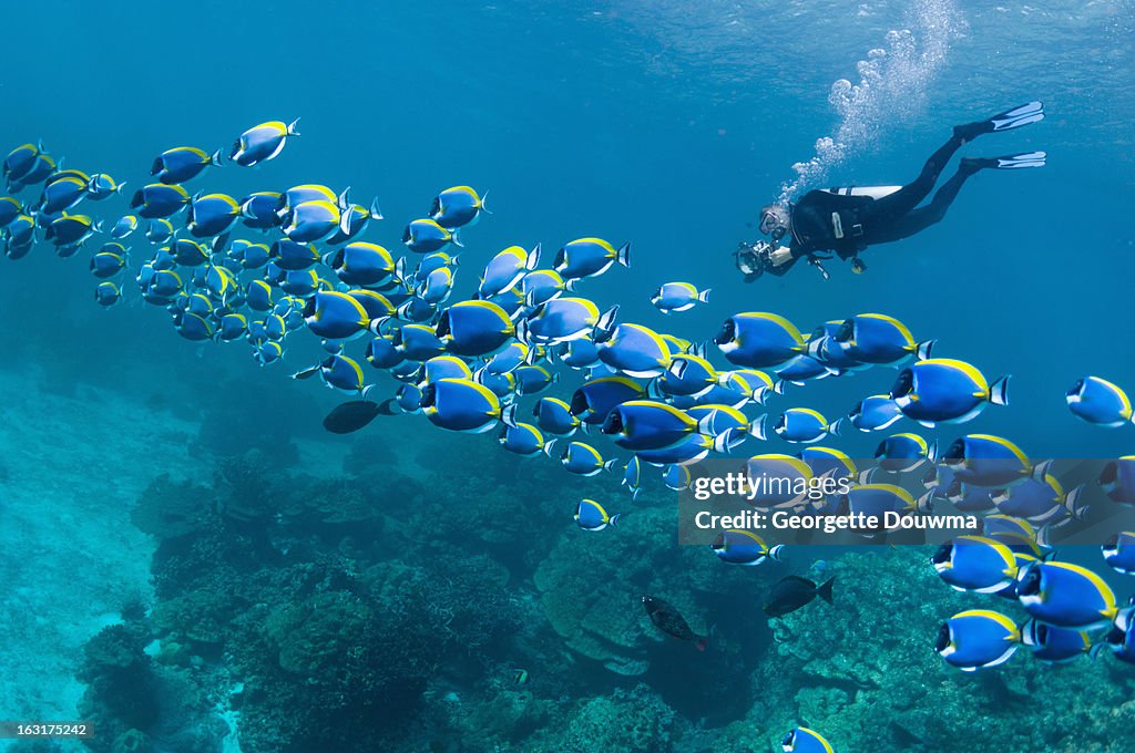 Scuba diver with camera