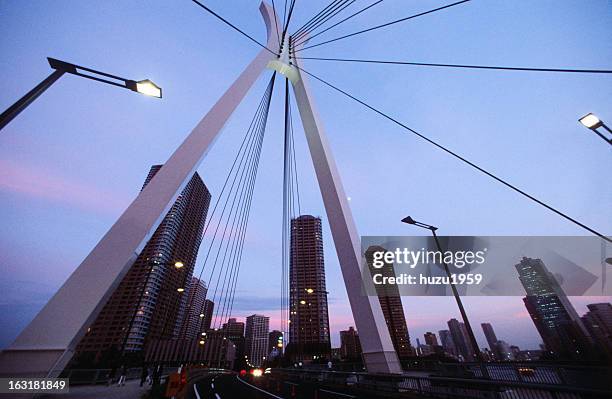 upward view of cable-stayed bridge - cable stayed bridge stock-fotos und bilder