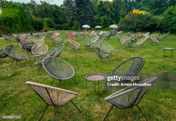 emty egg chairs on green grass. summertime - egg chair stockfoto's en -beelden