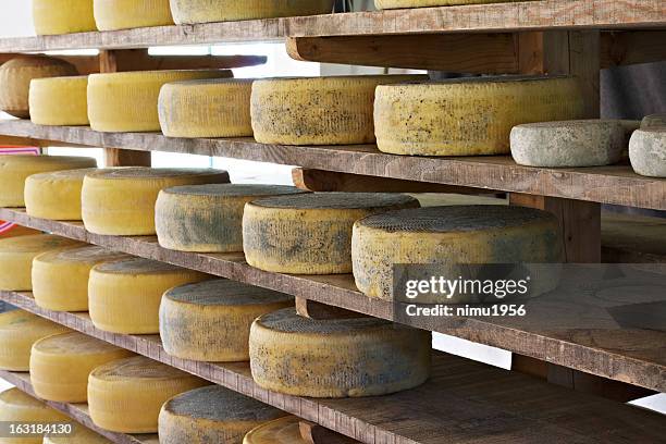 asiago cheese aging in the factory - wiel kaas stockfoto's en -beelden