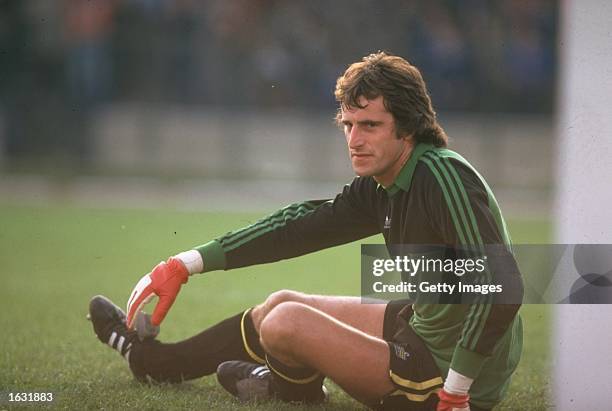 England Goalkeeper Ray Clemence gets up after missing a penalty save during the World Cup qualifying match against Romania in Bucharest, Romania....