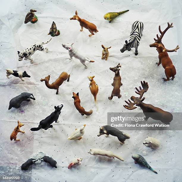 collection of small toy animals viewed from above - mini mouse stock pictures, royalty-free photos & images