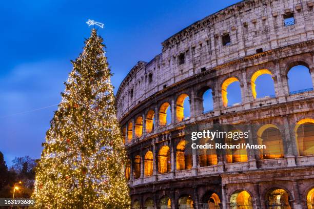 christmas tree at colosseum at dusk. - rom weihnachten stock-fotos und bilder