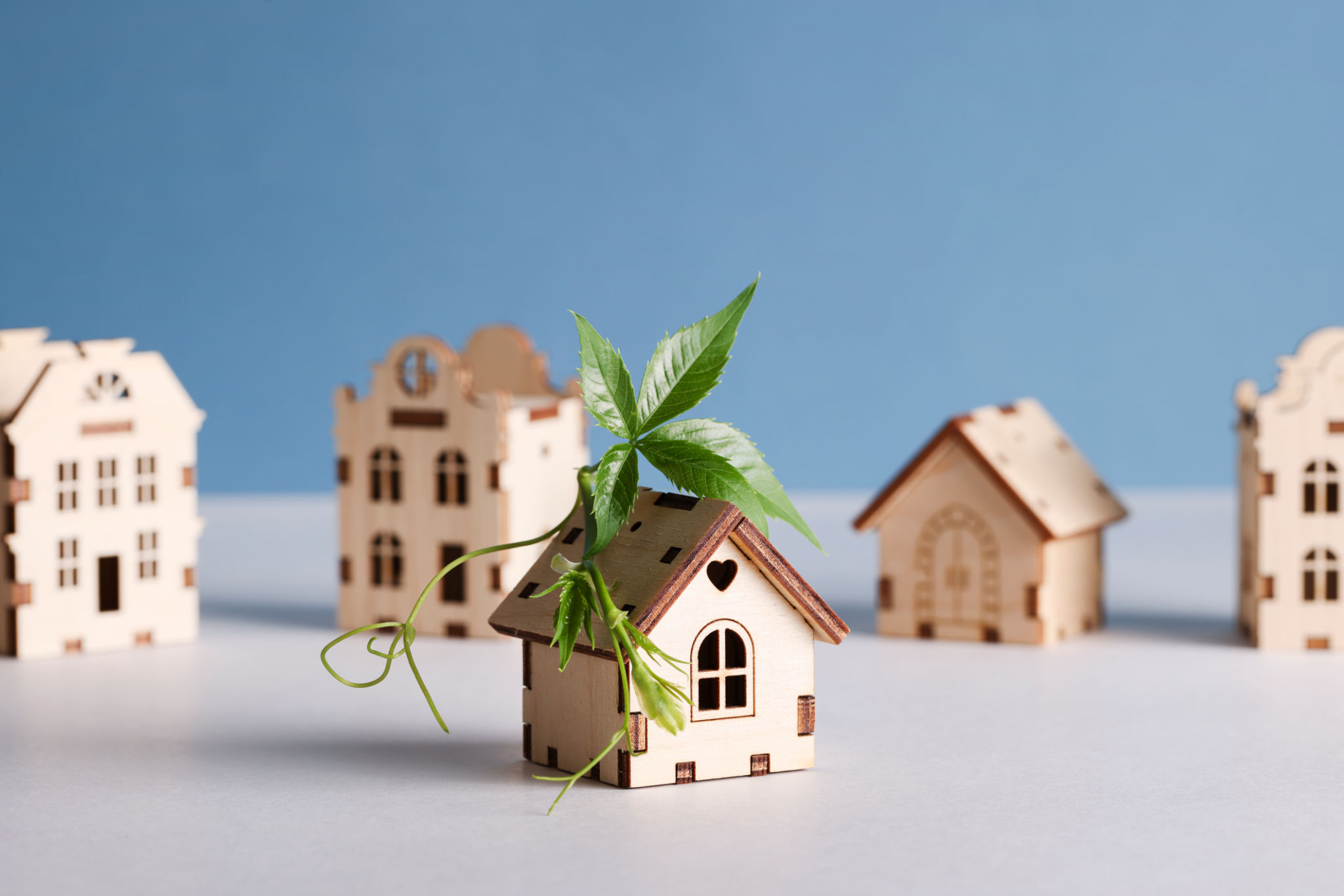 eco-friendly home upgrade