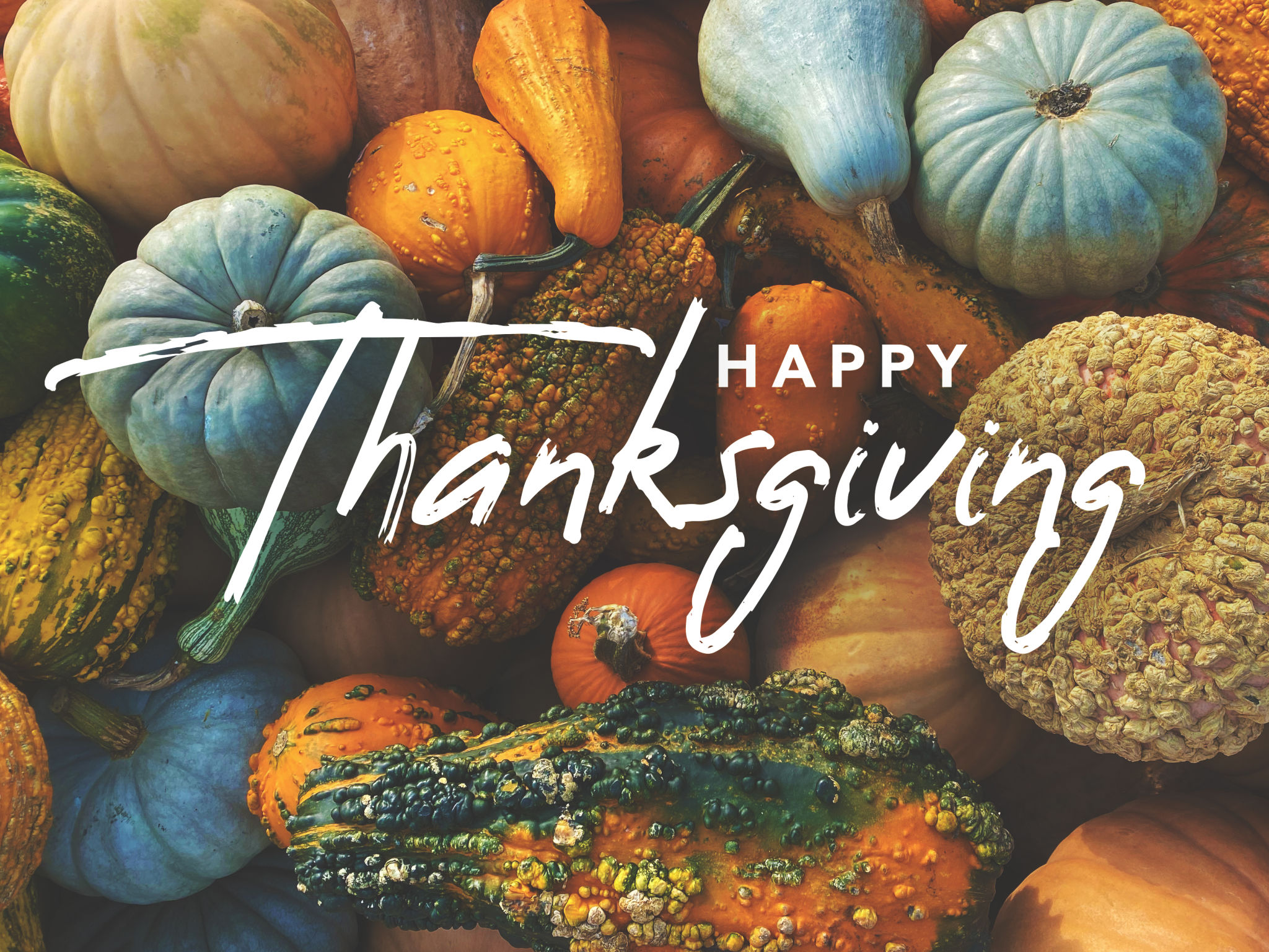 Happy Thanksgiving Holiday Greeting Card Handwriting Calligraphy Text Design with Fall Pumpkins, Squash and Gourds Colorful Background Happy Thanksgiving Holiday Greeting Card Handwriting Calligraphy Text Design with Fall Pumpkins, Squash and Gourds Colorful Background
