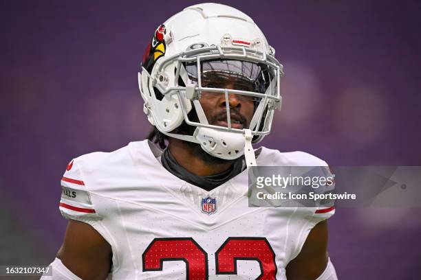 Arizona Cardinals Safety Sean Chandler looks on during a pre-season NFL game between the Minnesota Vikings and Arizona Cardinals on August 26 at U.S....