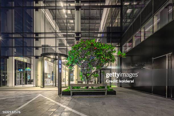 entrance of modern office building at night, decorated with tree - israel finance stock pictures, royalty-free photos & images