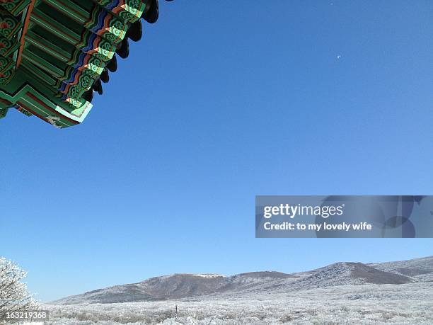 1100 road halla mt. - jeju island stock pictures, royalty-free photos & images