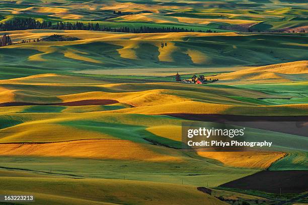 palouse farm hills - palouse imagens e fotografias de stock