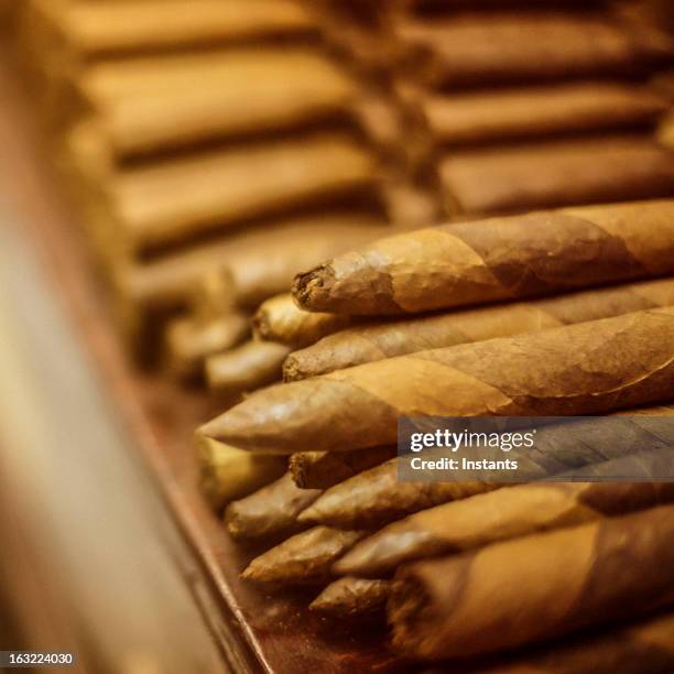 des cigares - cigar photos et images de collection