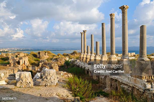 roman ruins by the sea in tyre, lebanon - lebanese bildbanksfoton och bilder