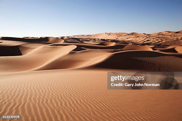 desert sand dunes at liwa oasis uae - dunes stockfoto's en -beelden