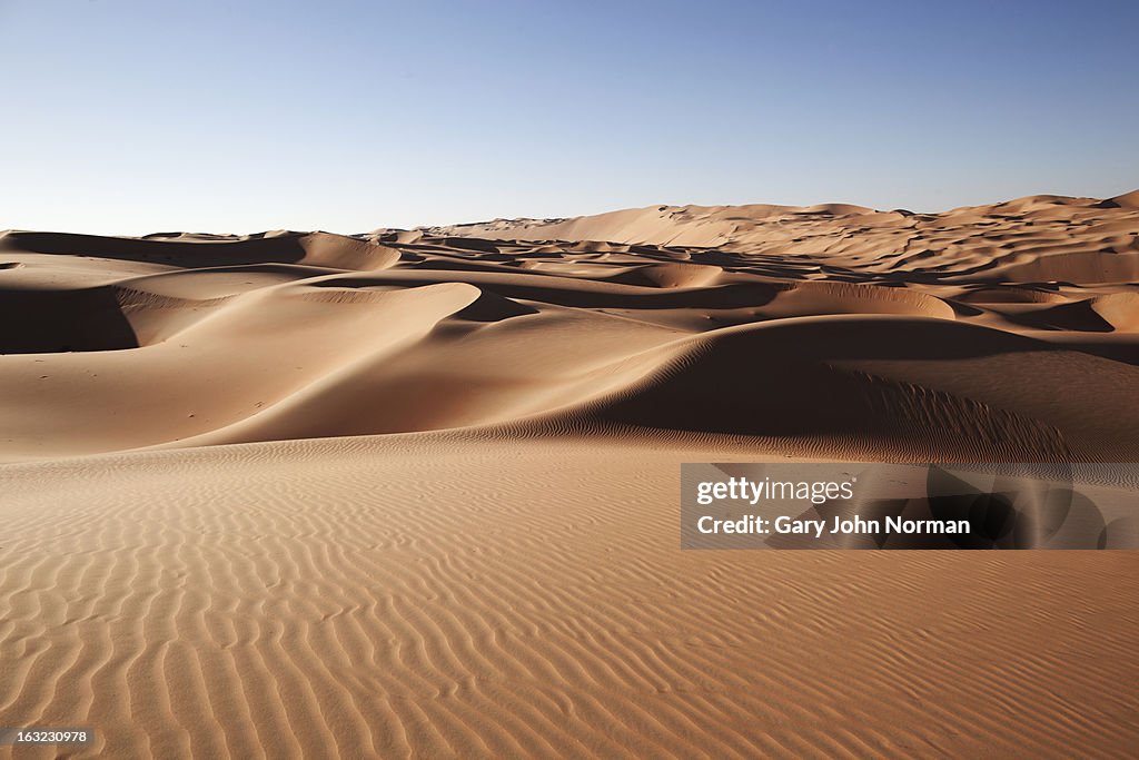 Desert sand dunes at Liwa Oasis UAE