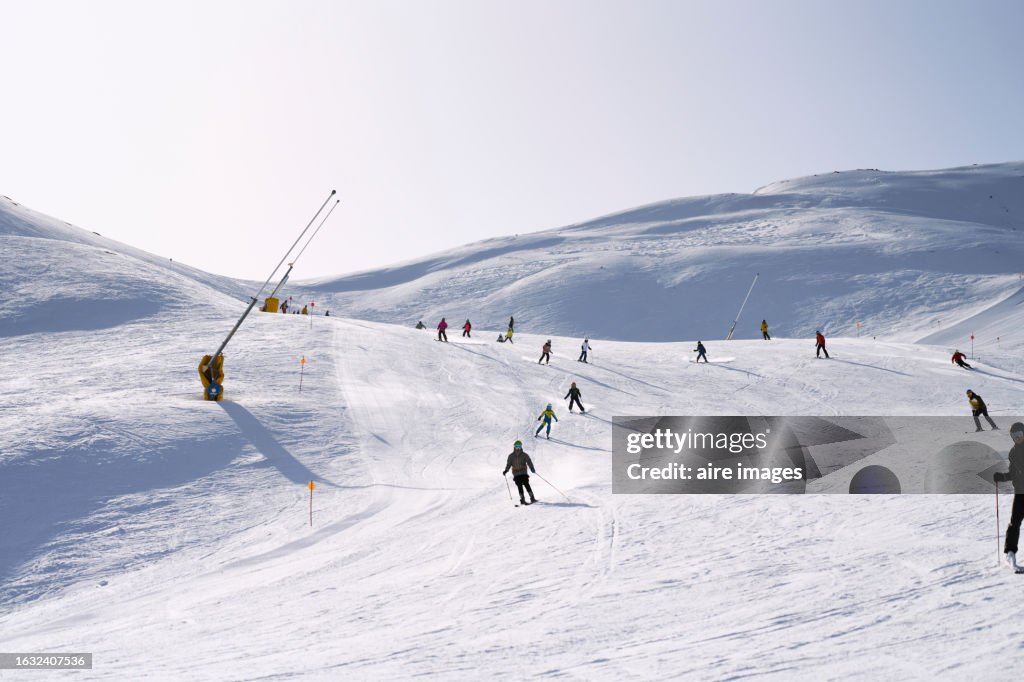 Front view of a large group of people skiing in the winter on a mountain on a sunny day