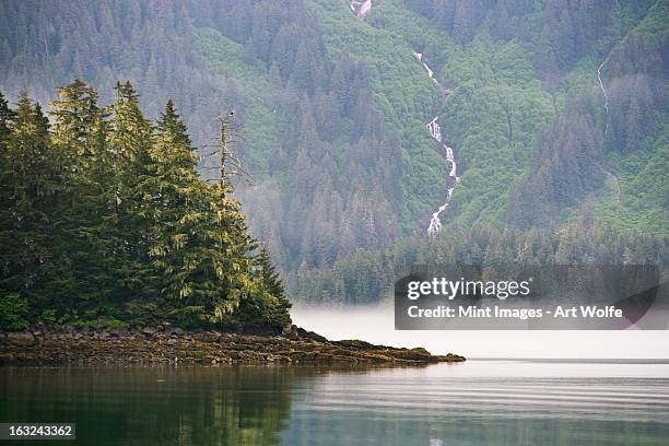 bald eagle and waterfall, glacier bay national park and preserve, alaska - glacier bay national park stock-fotos und bilder