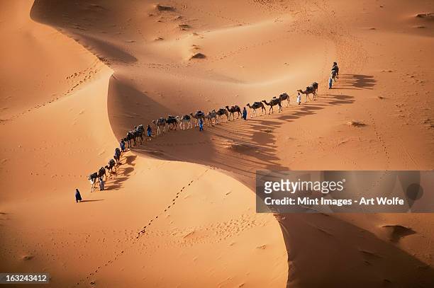 the setting sun over the desert, and a caravan of camel merchants leading their animals across the dunes. - sahara desert stock-fotos und bilder