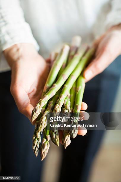 midsection of woman holding bunch of asparagus vegetable - spargel stock-fotos und bilder