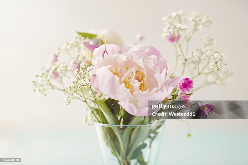 Close up of various flower against white background