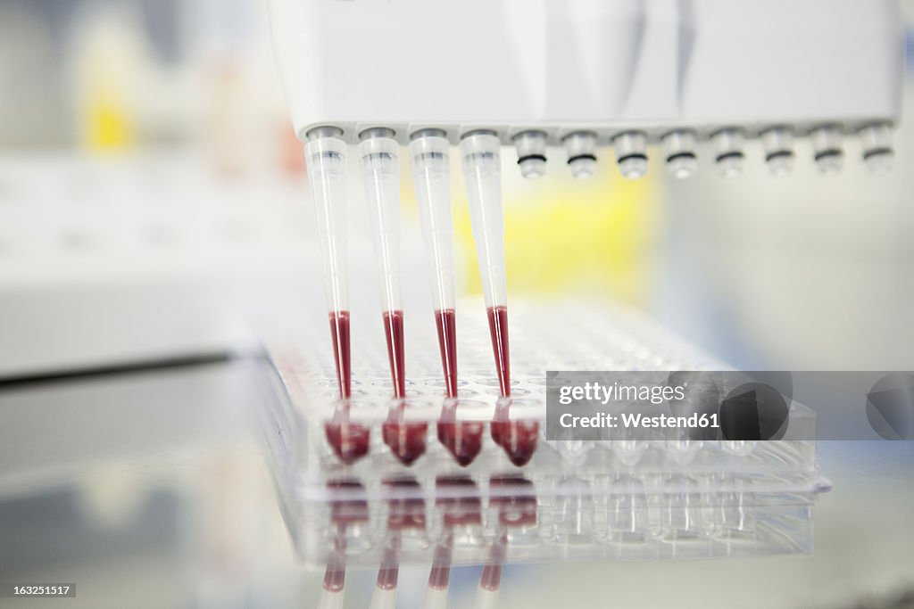 Germany, Bavaria, Munich, Blood analysis in multichannel pippette