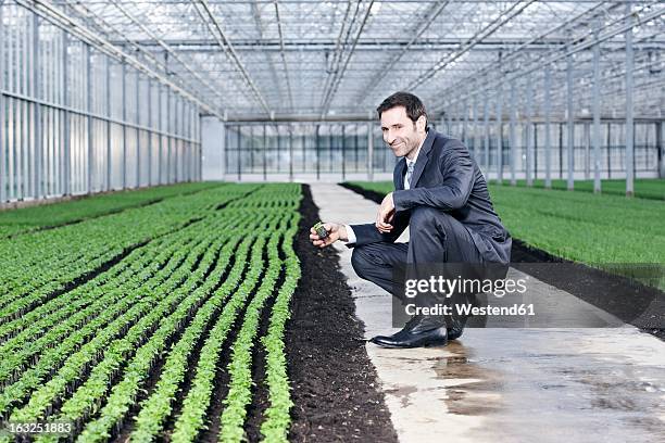 germany, bavaria, munich, mature man examining seedlings in greenhouse - homme costume jardinier photos et images de collection