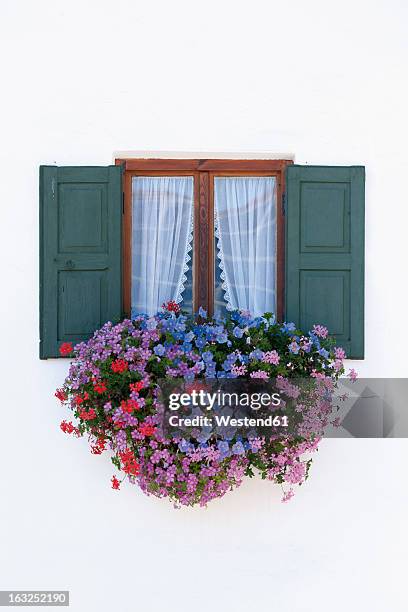 germany, bavaria, geranium on window sill - arredamento da giardino foto e immagini stock