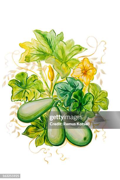 zucchini painting - remus kotsell stock illustrations