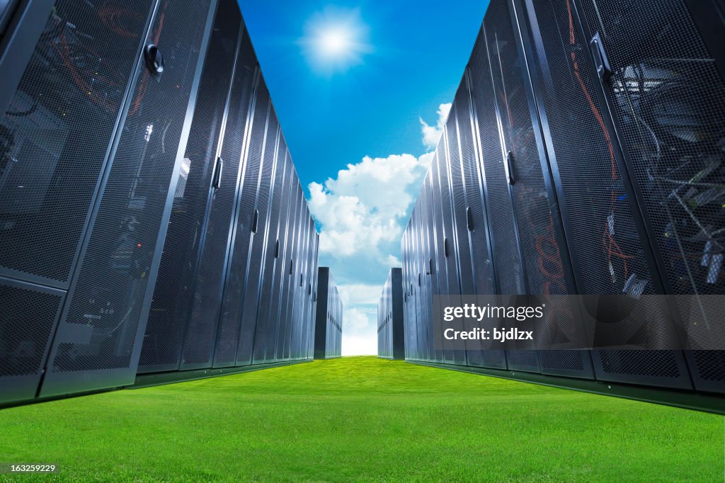 Data Center Kellner mit dem blauen Himmel und grüne Gras