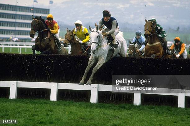 Desert Orchid jumping a fence and going on to win the Cheltenham Gold Cup race at Cheltenham racecouse, England. \ Mandatory Credit: David...