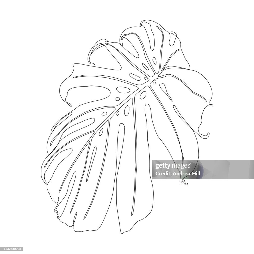 Monstera Leaf Durchgehende Strichzeichnung mit bearbeitbarem Strich