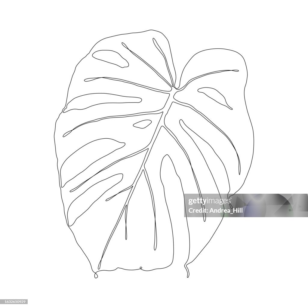 Monstera Leaf Durchgehender Linienzeichnungsstil Bearbeitbarer Strich