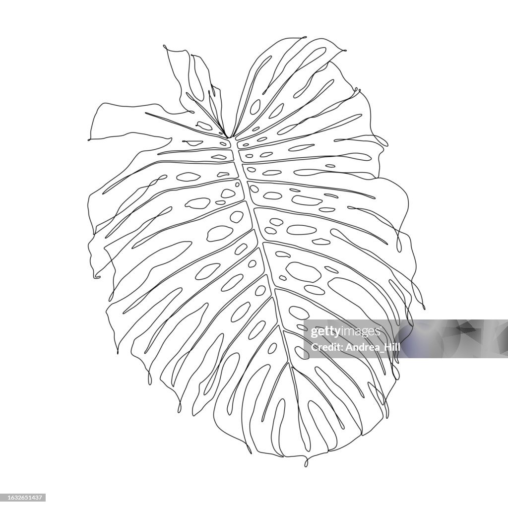 Monstera Leaf Continuous Single Line Drawing, Editable Stroke