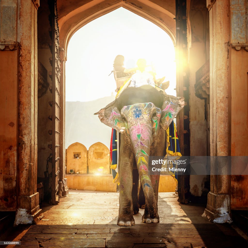 Elephant in India