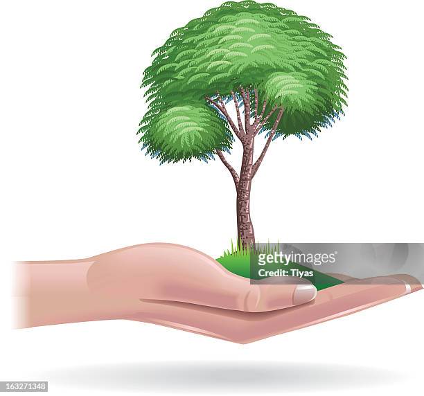 Tree In Palm Of Hand High-Res Vector Graphic - Getty Images