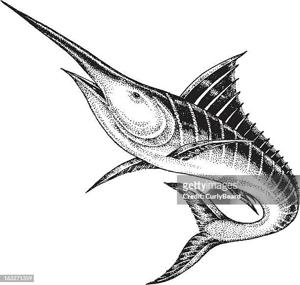 marlin - swordfish stock illustrations