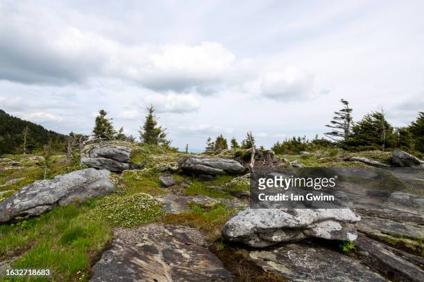 rocks in grandfather mountain - ian gwinn stock pictures, royalty-free photos & images
